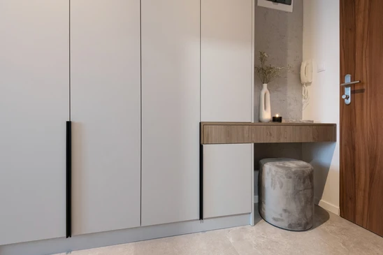 am&eacute;nagement int&eacute;rieur d'une nouvelle maison, couloir lumineux avec miroir et placard